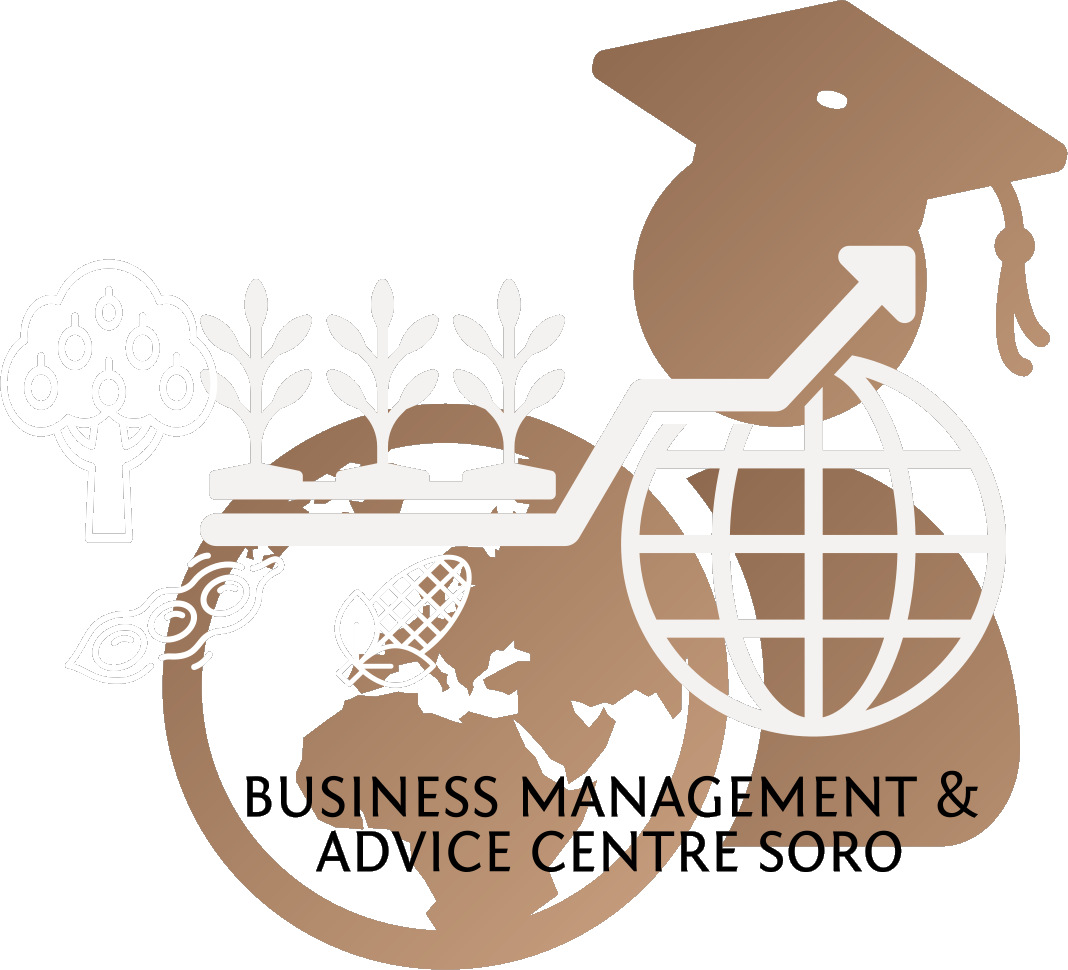 Logo BMACS SARL